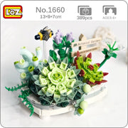 Loz 1660 Potted Succulent Plants