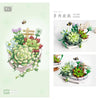 Loz 1660 Potted Succulent Plants