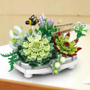 Loz 1660 Potted Succulent Plants