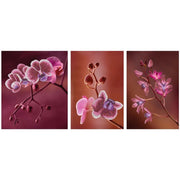 Minart Crafts 11006 Pink Orchids Triptych