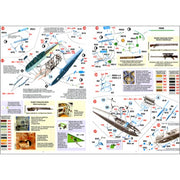 Mirage 481306 1/48 Halberstadt CL.II