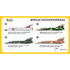 Mark One Models 144102 1/144 Dassault Mirage IIIO/EP/RZ/5AD Worldwide Service RAAF