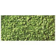 Noch 07142 Leaves Light Green 50g