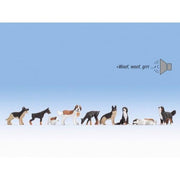 Noch 12852 Dogs with Bark Sound