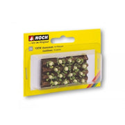 Noch HO Cauliflower Plants