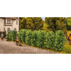 Noch 21547 Thuja Hedge 12pc