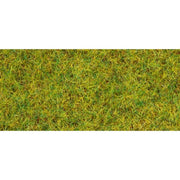 Noch 50190 Scatter Grass Summer Meadow 2.5mm 100g