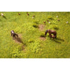 Noch N60771 Vegetation Starter Set Meadow
