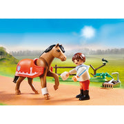 Playmobil 70516 Collectible Connemara Pony