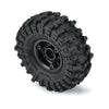 Proline PR10215-10 1/24 Mickey Thompson Baja Pro X F/R 1.0 inch MTD 7mm Black Holcomb 4pc