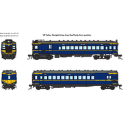 IDR HO VR Derm Train Pack VR Yellow Straight Lining w/Gray Roofs (RM 61 and MT 26)