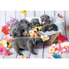 Ravensburger 05636-1 Cute Little Furballs 2x 12pc Kids Jigsaw Puzzle