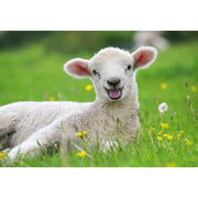 Ravensburger 05718-4 Farm Animals 2 x 12pc Jigsaw Puzzle