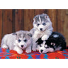 Ravensburger 12823-5 Mignons Huskies XXL 200pc Jigsaw Puzzle