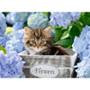 Ravensburger 12894-5 Tortoiseshell Kitty 300pc Jigsaw Puzzle