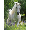 Ravensburger 12927-0 Horse in Flowers 100pc Jigsaw Puzzle