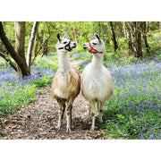Ravensburger 12941-6 Llama Love 100pc Jigsaw Puzzle