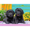 Ravensburger 12950-8 Puppy Life 300pc Jigsaw Puzzle