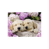 Ravensburger 13235-5 Sweet Dogs in a Basket 300pc Jigsaw Puzzle