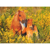 Ravensburger 13283-6 Shetland Ponys 100pc Jigsaw Puzzle
