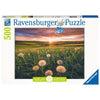 Ravensburger 16990-0 Dandelions at Sunset 500pc Jigsaw Puzzle