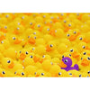 Ravensburger 17097-5 Rubber Ducks 1000pc Jigsaw Puzzle