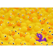 Ravensburger 17097-5 Rubber Ducks 1000pc Jigsaw Puzzle