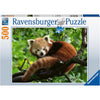 Ravensburger RB17381-5 Red Panda Photo 500pc Jigsaw Puzzle