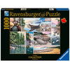 Ravensburger 17469-0 West Coast Tranquility 1000pc Jigsaw Puzzle
