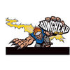 Tamiya 1/18 Konghead 6x6 (58646) replacement decals only