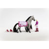Schleich 42584 Beauty Horse Sofia and Dusty Starter Set