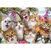 Schmidt Cat Selfie 500pc Jigsaw Puzzle