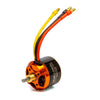 Spektrum SPMXAM4620 Avian 3536-1200Kv Brushless Outrunner Motor