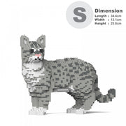 Jekca ST19AMC01-M02 Australian Mist 01S-M02