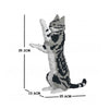 Jekca ST19ASC05-M01 American Shorthair Cat 05S-M01