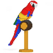 Jekca ST19BD02 Macaw 01S