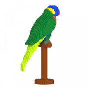 Jekca ST19BD19 Rainbow Lorikeet 01S