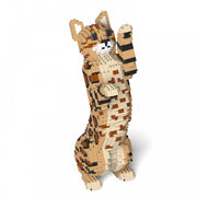 Jekca ST19BGC01-M01 Bengal Cat 4-in-1 Pack 01S-M01