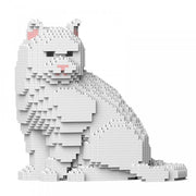 Jekca ST19BSH01-M02 British Shorthair Cat 01S-M02