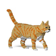 Jekca ST19CA03-M01 Orange Tabby Cat 03S-M01