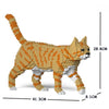 Jekca ST19CA03-M01 Orange Tubby Cat 03S-M01