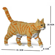 Jekca ST19CA03-M01 Orange Tubby Cat 03S-M01