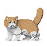 Jekca ST19ESC01-M01 Exotic Shorthair Cat 01S-M01