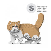 Jekca ST19ESC01-M01 Exotic Shorthair Cat 01S-M01