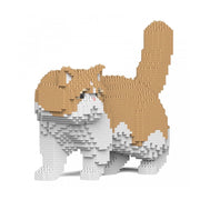 Jekca ST19ESC01-M01 Exotic Shorthair Cat 01S-M01