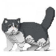 Jekca ST19ESC01-M02 Exotic Shorthair Cat 01S-M02