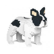 Jekca ST19FB02-M04 French Bulldog 02S-M04
