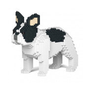 Jekca ST19FB02-M04 French Bulldog 02S-M04