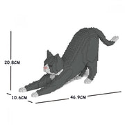 Jekca ST19GTC04 Grey Tuxedo Cat stretching 04S
