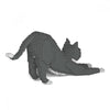 Jekca ST19GTC04 Grey Tuxedo Cat stretching 04S